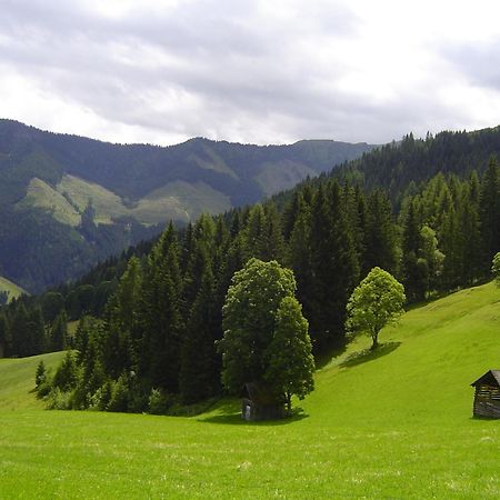 Kirchenbichlerhof Villa Pruggern Bagian luar foto