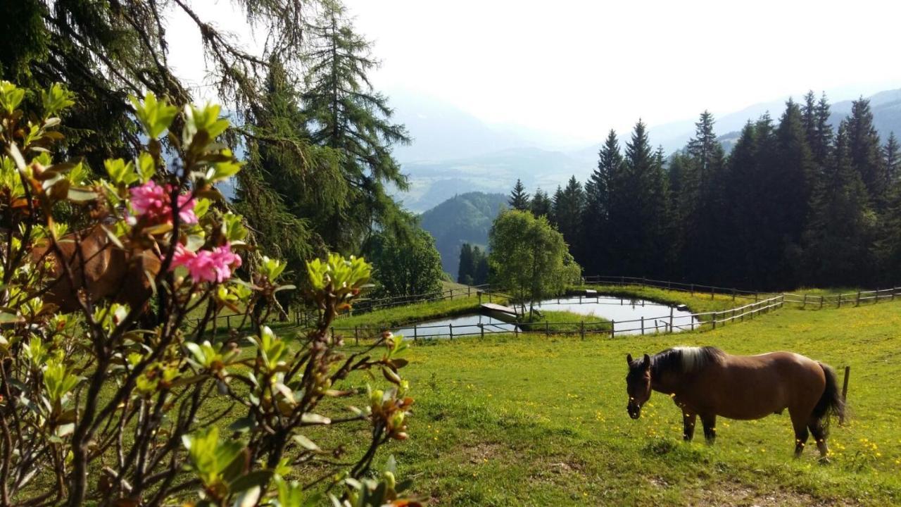 Kirchenbichlerhof Villa Pruggern Bagian luar foto