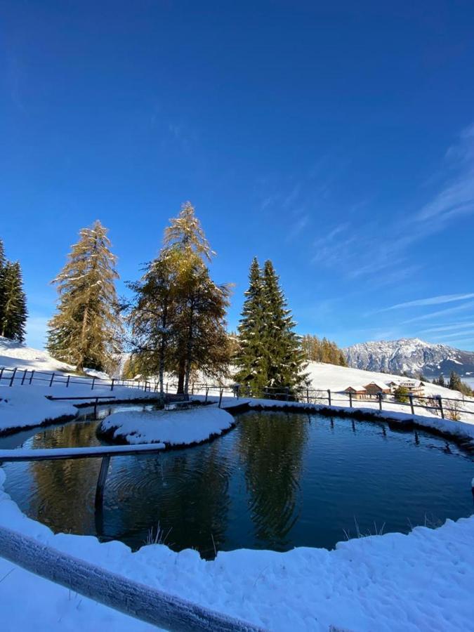 Kirchenbichlerhof Villa Pruggern Bagian luar foto