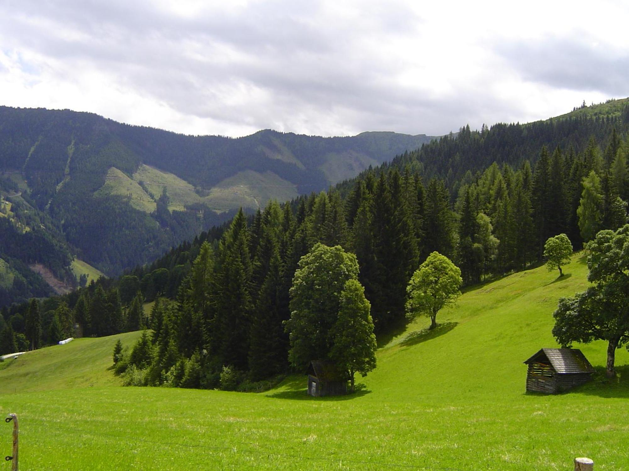 Kirchenbichlerhof Villa Pruggern Bagian luar foto